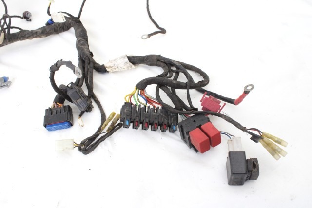 FANTIC MOTORE ENDURO 250 COMPETIOTION 4T CABLAGGIO IMPIANTO ELETTRICO FA25 (2020) MAIN WIRING HARNESS